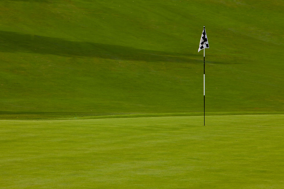 Beautiful golf course green in afternoon sunlight.jpg