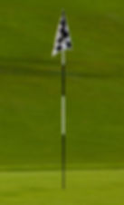 Tournament Flag Pin.jpg