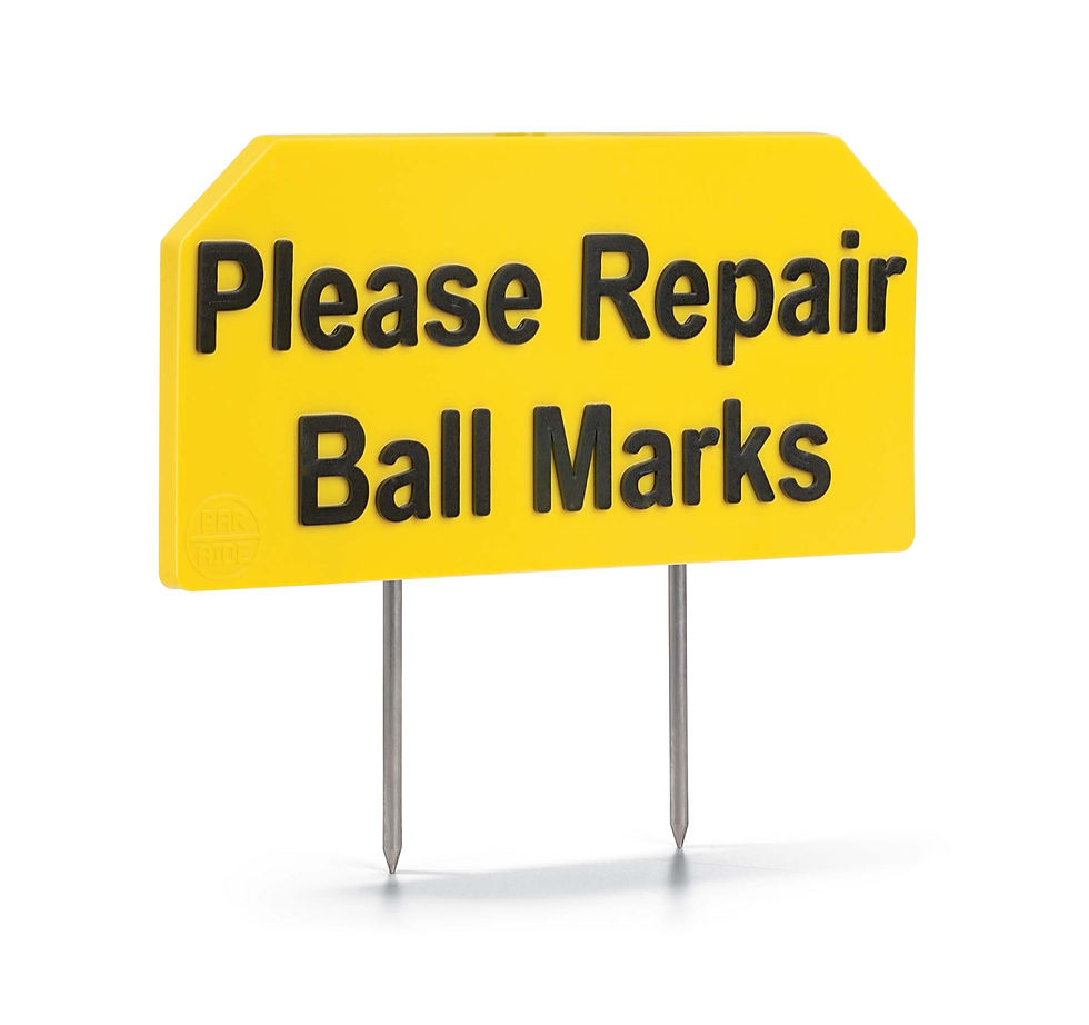 Thumbnail: Dura-Flex Signs Please repair Ballmarks
