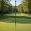 Thumbnail: Wood Effect Putting Green Marker with Spike