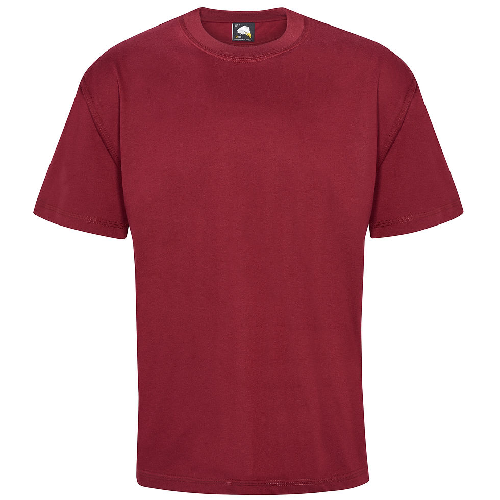 Thumbnail: Orn Gushawk Deluxe Tee Shirt