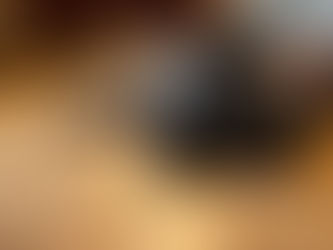 Training Your New Eurasier Puppy