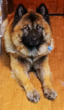 2022-01-09 10.40.08 Cropped.jpg