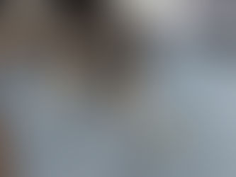 Eurasier Shedding and Grooming