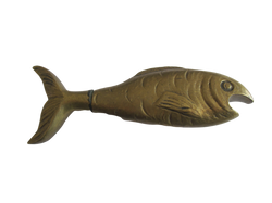 Poisson 6