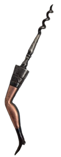 téléchargement - 2026-01-24T161828.236