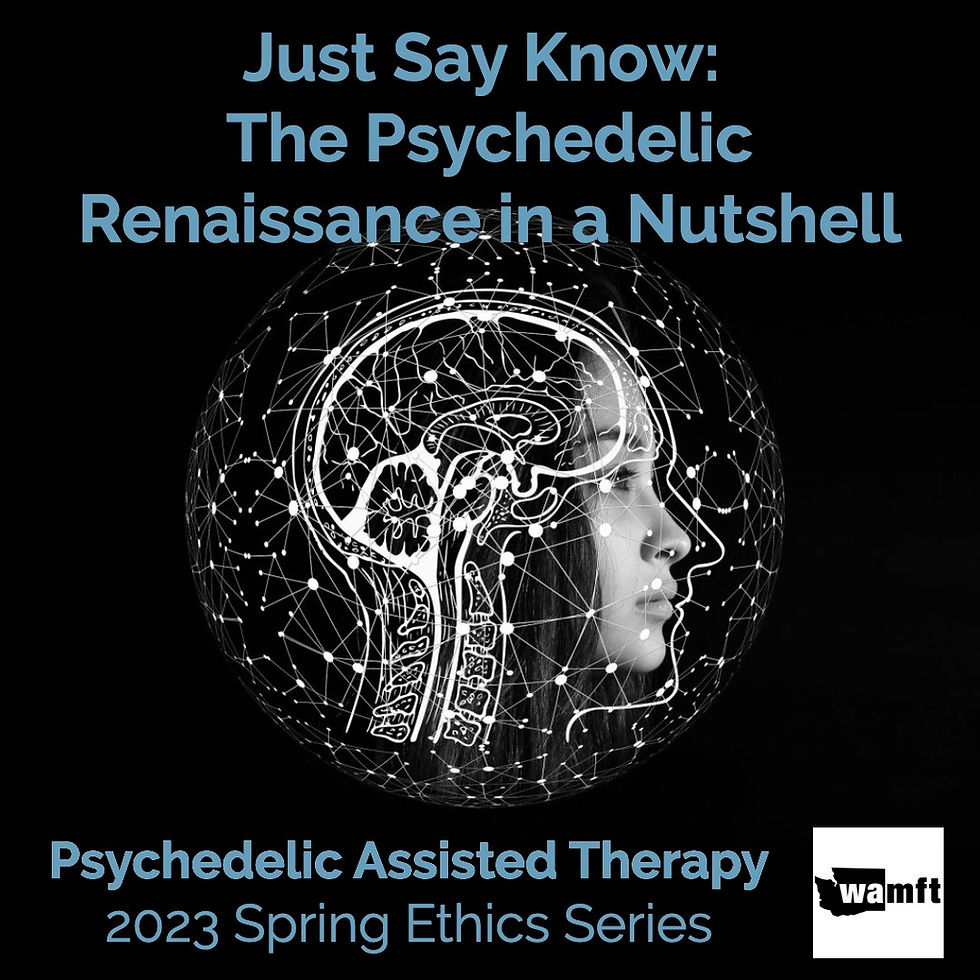 Just Say Know: The Psychedelic Renaissance in a Nutshell - 2023 Ethics and Integrity Series