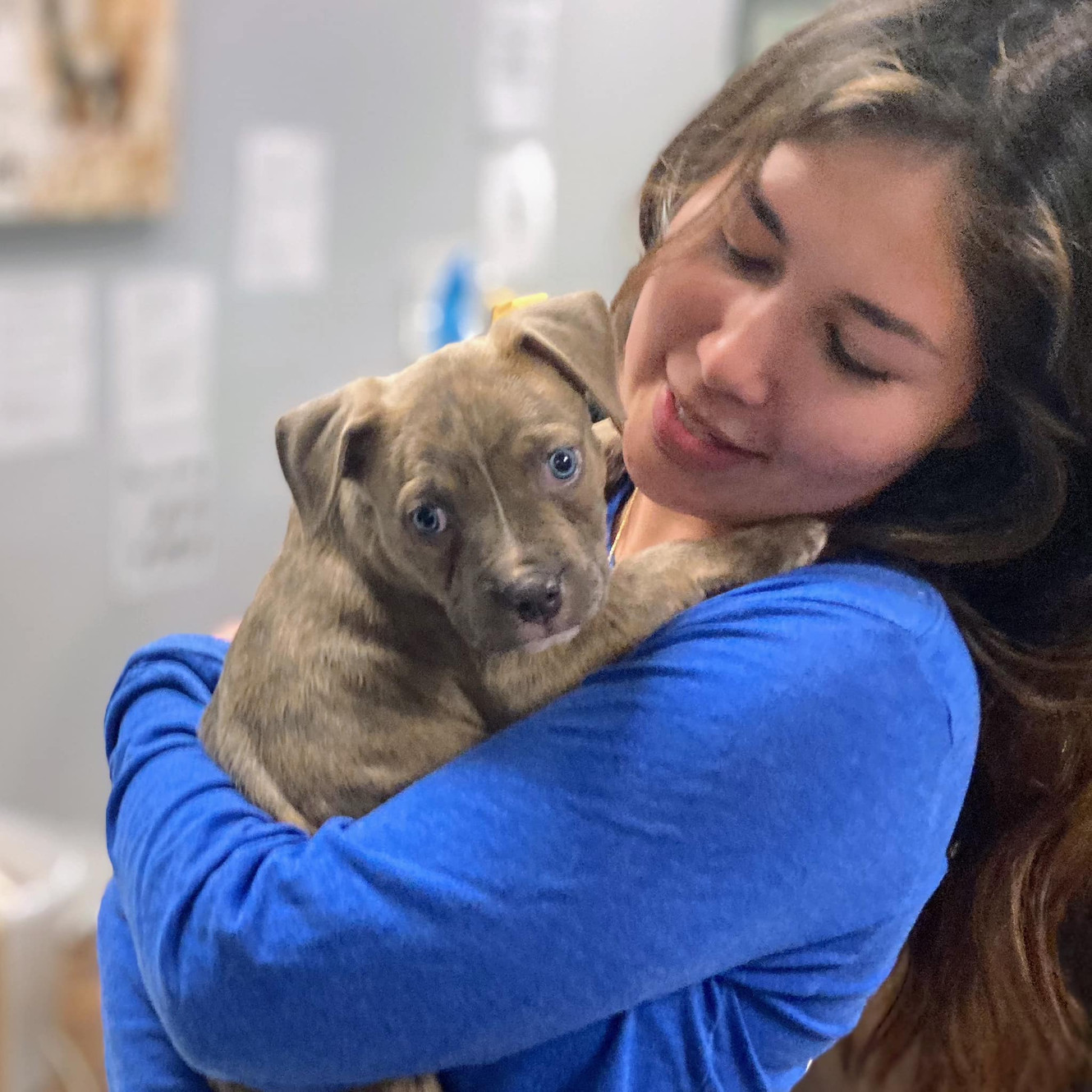 Center for animal rescue and enrichment (Care) logo