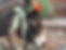 279158295_5495714413791874_7715095760292924346_n.jpeg