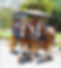 400673945_839518858174522_974940728693657419_n.jpeg