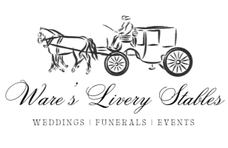 Gold Elegant Carriage Horse-Drawn Illust
