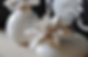 flor-de-mikado_optimized_edited_edited