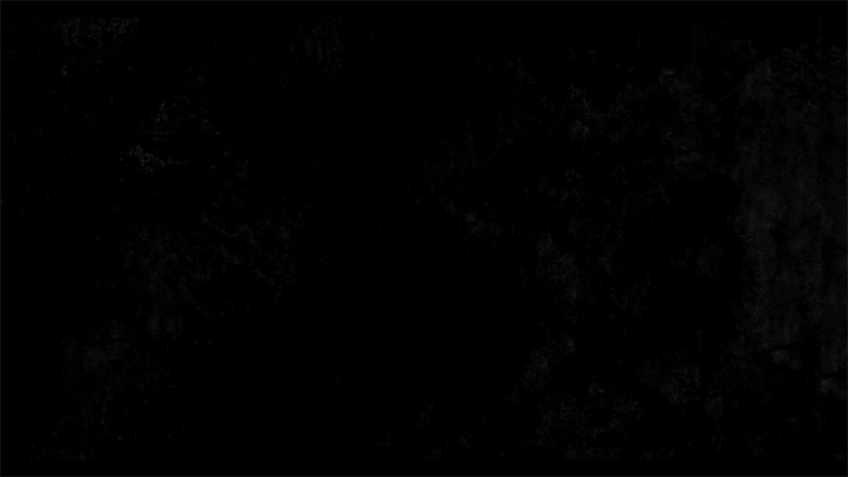 Gif2.gif