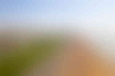 Flat 1, 23 Brunswick Terrace-27