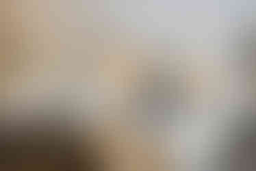 74 Kippington Road -15