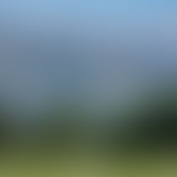 2020 Golf Invitational