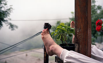Analog Photograph, Iran, Travel, Masuleh, feed, rain, flower