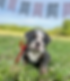 D4804F78-7116-4D81-BF47-2E6635B5E55E_1_201_a.jpeg