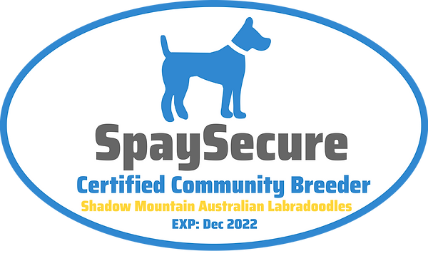 Shadow Mountain Australian Labradoodles (1).png