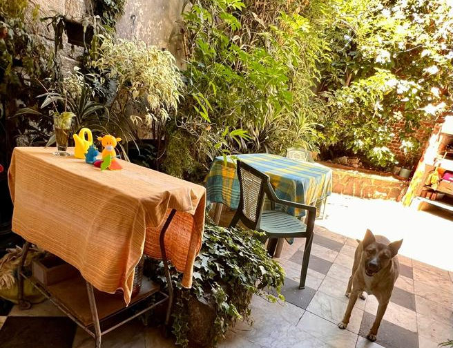 WhatsApp Image 2023-06-29 at 5.42.41 PM.jpeg