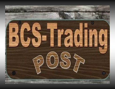bcs2.jpg