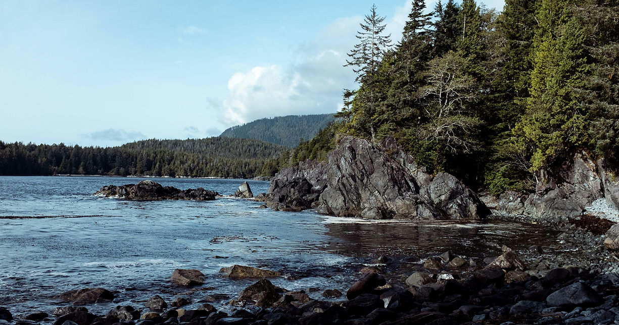 Serene Vancouver Island nature. Achieve your goals and get back to pain-free living with treatment from our skilled therapist