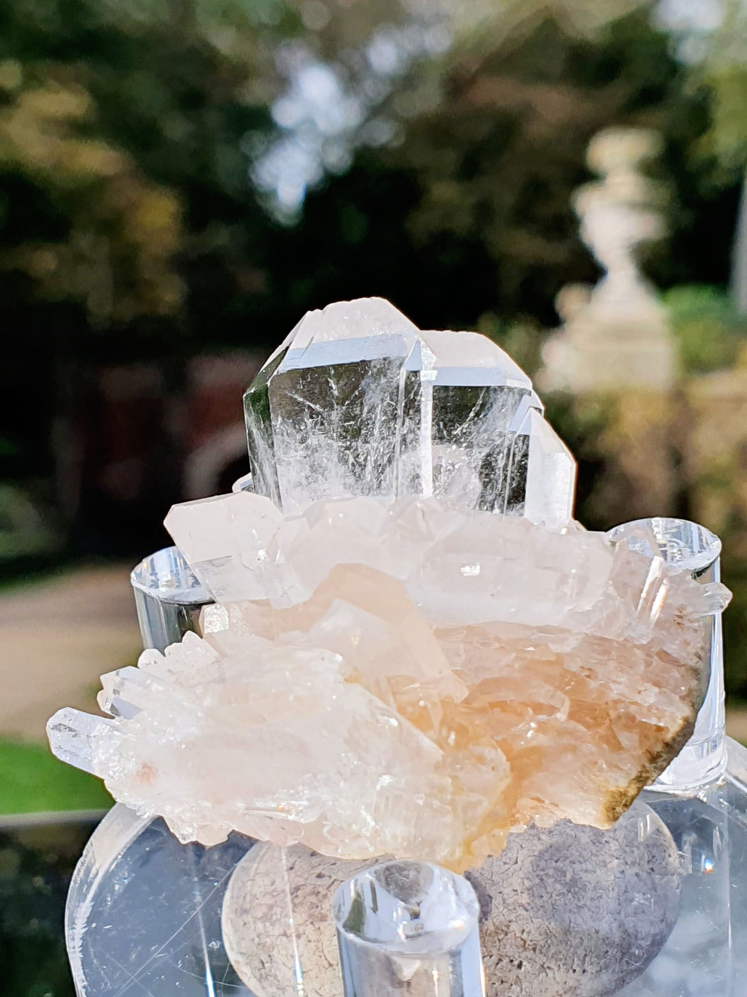Clear Quartz Cluster/Points Specimen CQMS324