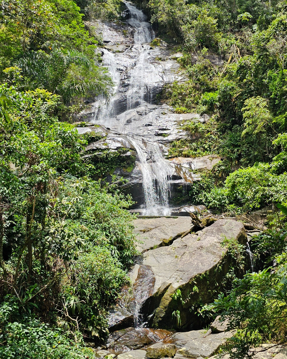 cachoeira na floresta da tijuca