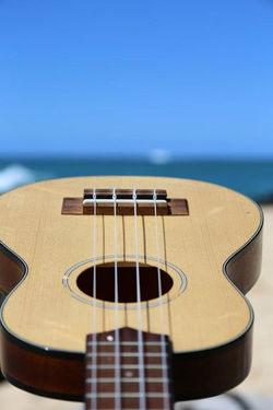 Guitar Lessons