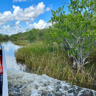 One perfect day in Everglades National Park