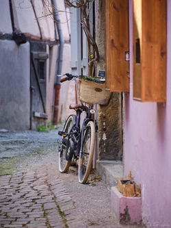 DSCF3094_C1_JPEG sRGB_71