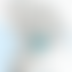 Moving to Bellingham, WA: A Complete Guide to Every Neighborhood