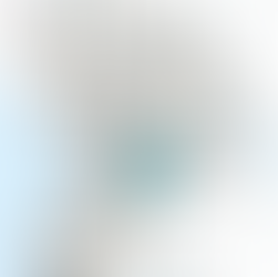 Moving to Bellingham, WA: A Complete Guide to Every Neighborhood