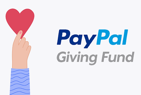 Blog header Meta x PPGF.png