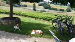1e dag bij FP Domaine de Cauquelle in Flaugnac