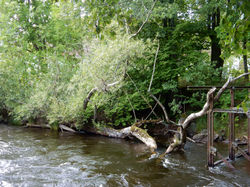 2016-09-01 Wandeling Färnebofjärden
