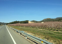 In Móra d'Ebre