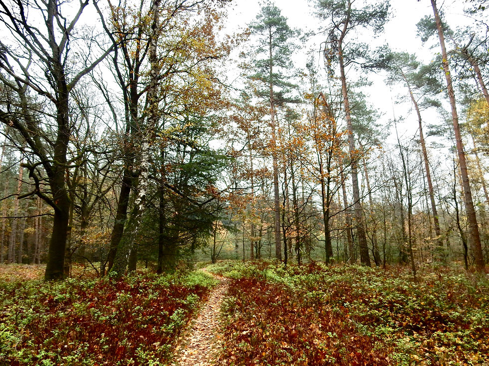 Prachtige wandeling van 5 km....