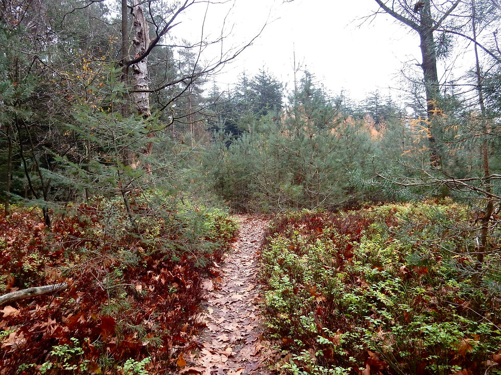 Prachtige wandeling van 5 km....