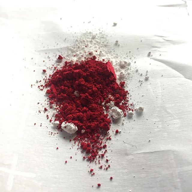I wish I could capture the intensity of this red. So pretty