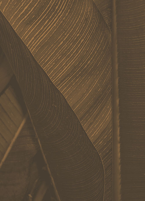 Brown Leaf