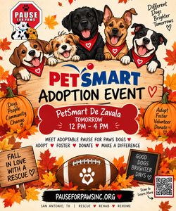 Pause for Paws Autumn Adoption Event