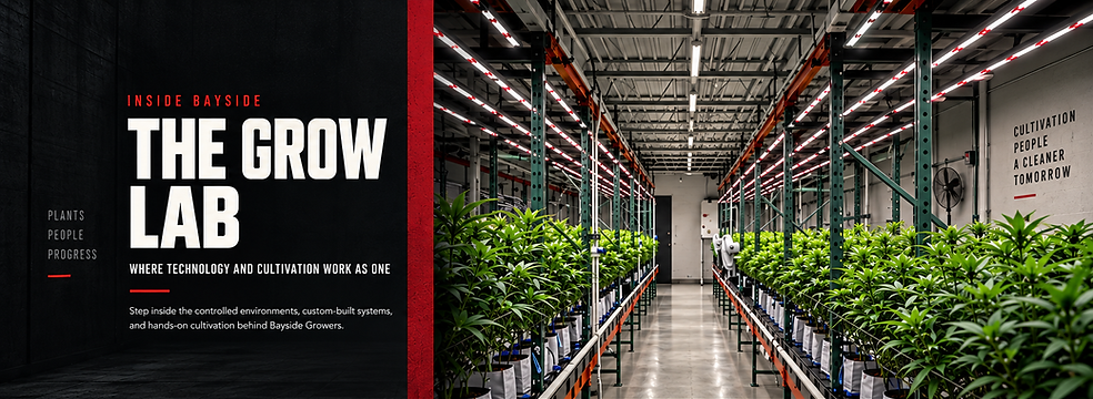 bayside-grow-lab-top