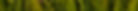 GrassGrains2.jpg