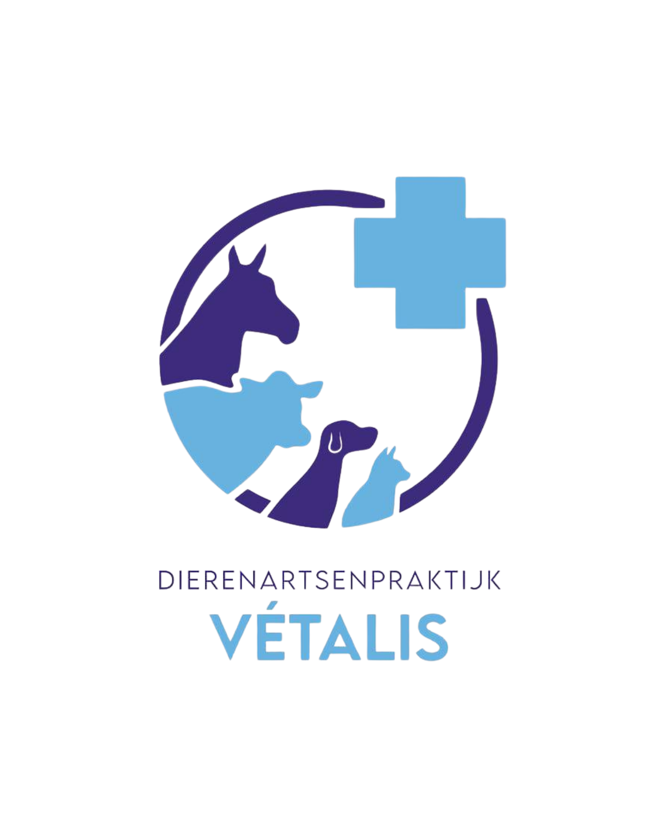 Shootplanning Vétalis.png