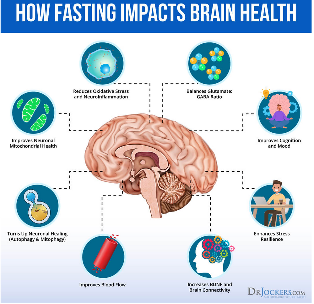 7 Key Benefits of Intermittent Fasting for Brain Health