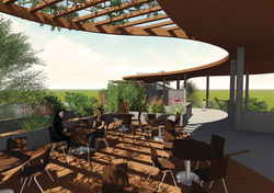 rooftop garden