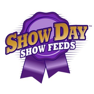 Show Day Show Pigs