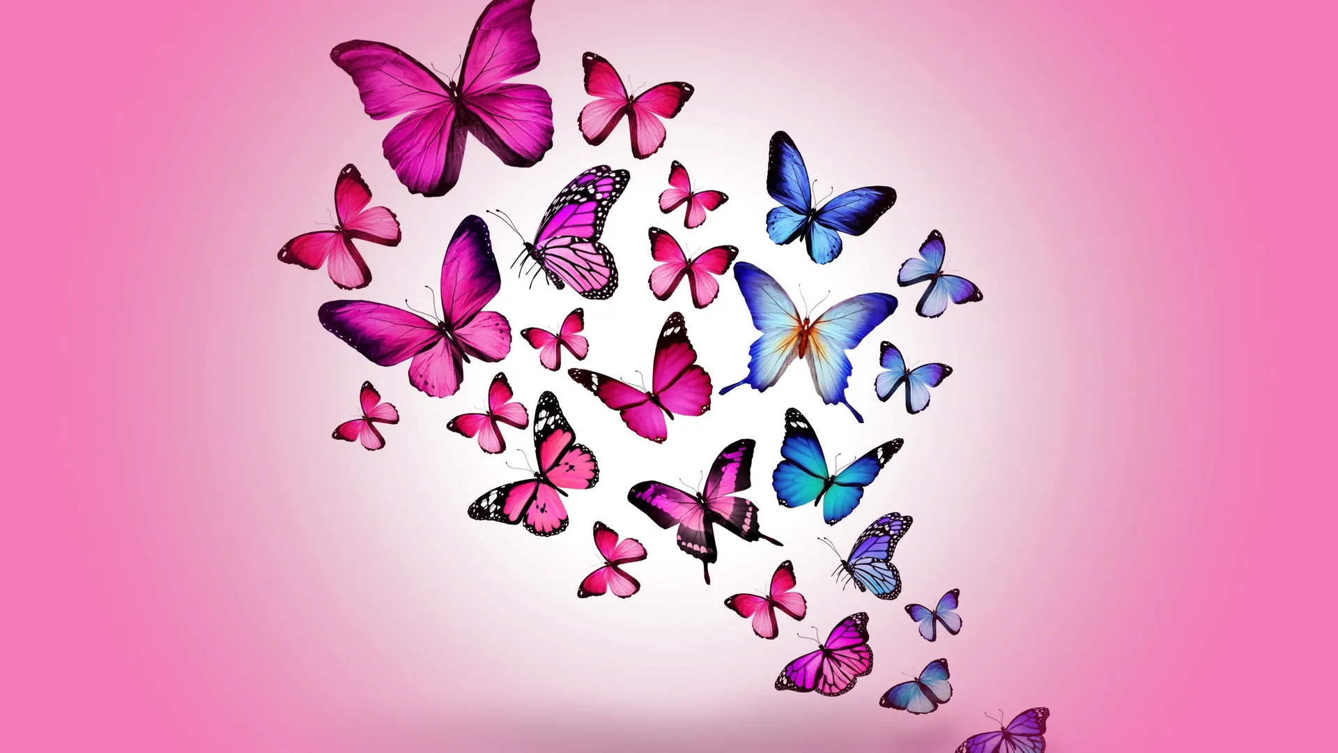 blue-and-pink-butterfly-a3tdewe9pgfsg0nd.webp