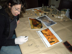 Lab "Un giorno da preistorico"